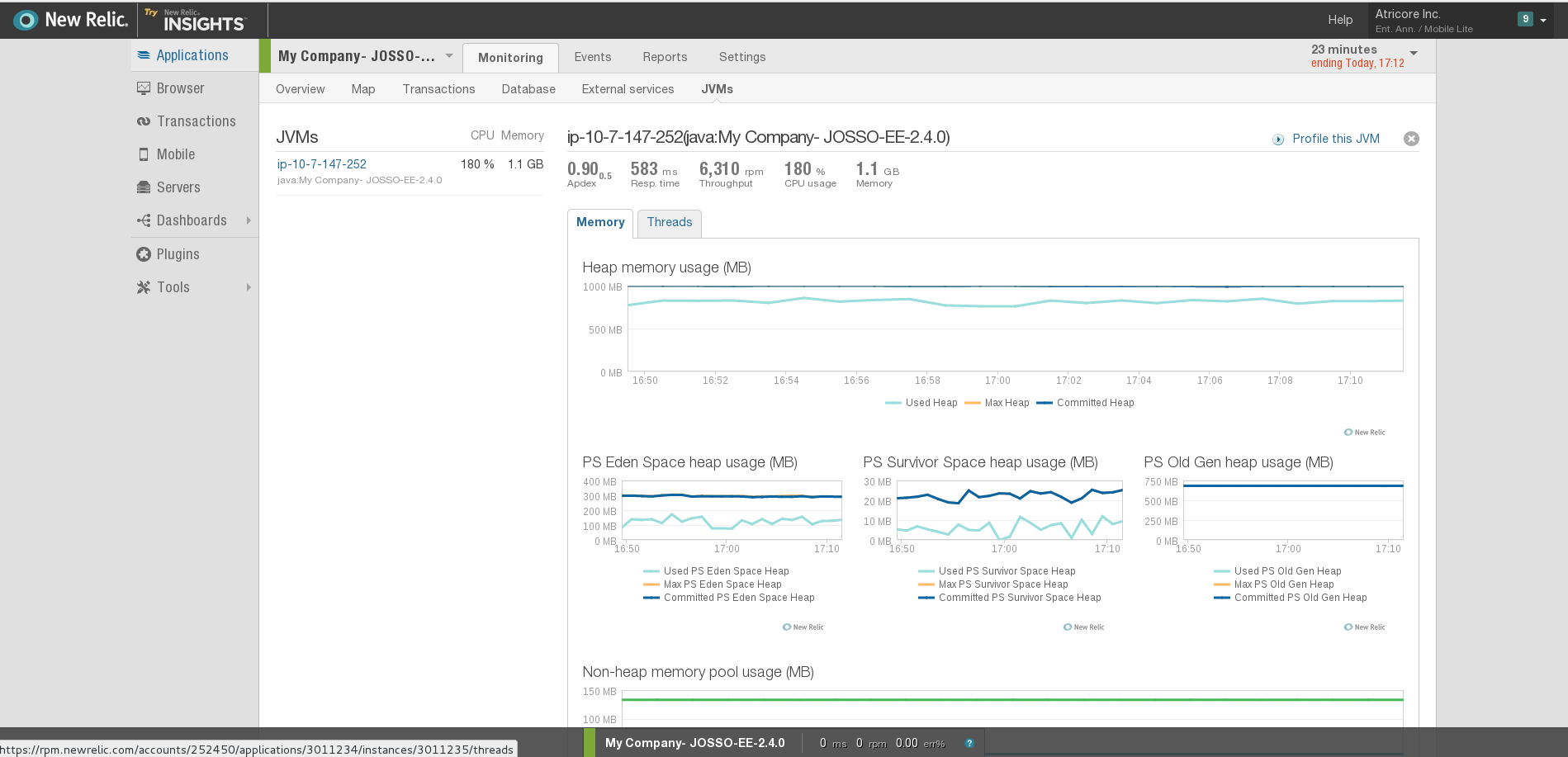 newrelic_jvm.png